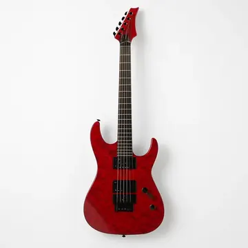 ESP George Lynch Signature Model