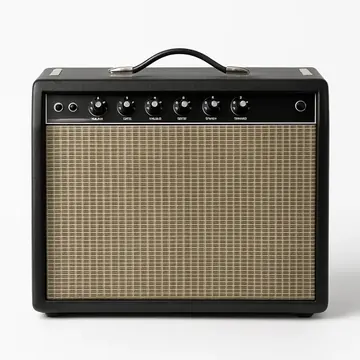 Fender Princeton Reverb