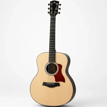 Taylor 618e