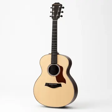 Taylor 814ce