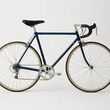 RALEIGH CARLTON-E