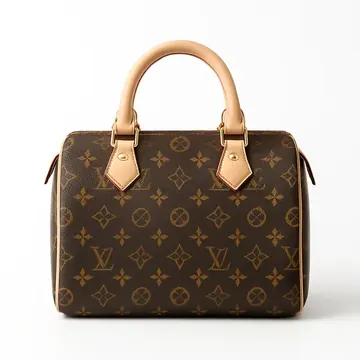 Louis Vuitton Speedy